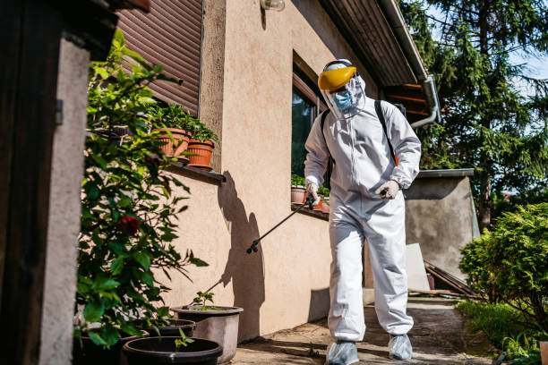 Best Pest Control Near Me in Mountain View, MO