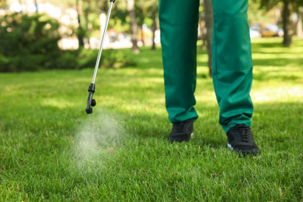 Best Pest Prevention Services  in Untain View, MO