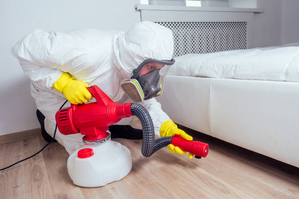 Best Bed Bug Extermination  in Untain View, MO