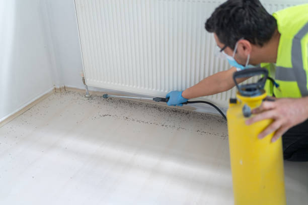 Best Residential Pest Control  in Untain View, MO